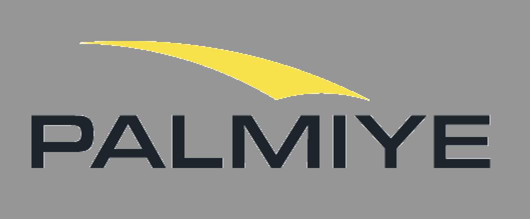 Palmiye Global